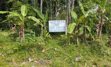 dijual tanah alan mangga desa sananrejo