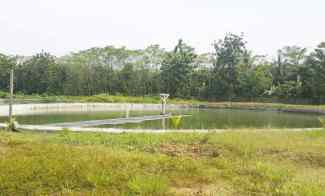Dijual Tanah Kavling Tambak 4 Hektar di Anyer Carita Banten