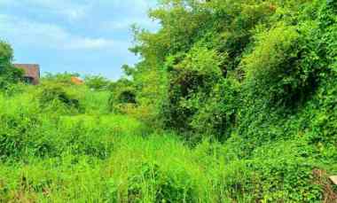 dijual tanah area gatsu barat denpasar bali