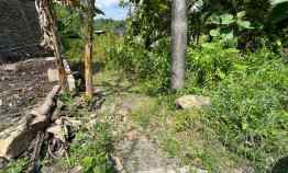 Tanah Pekarangan Bantul Sedayu Lokasi dekat Jalan Wates