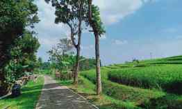 dijual tanah asri kerjo ngargoyoso karanganyar