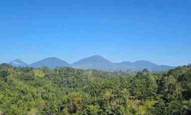 dijual tanah auman kec petang kab badung