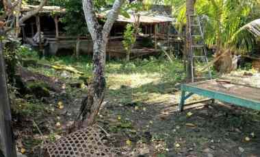 dijual tanah babakan canggu