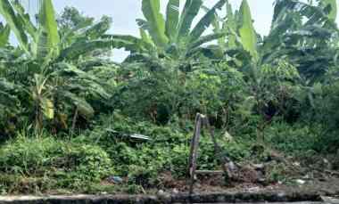 dijual tanah badak agung
