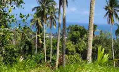 dijual tanah balian beach selemadeg
