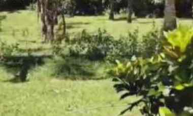dijual tanah balian beach selemadeg