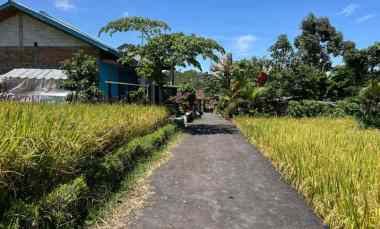 dijual tanah balong jatiyoso karanganyar