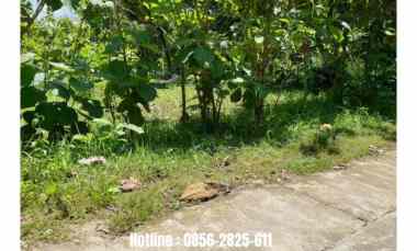 dijual tanah bambanglipuro bantul
