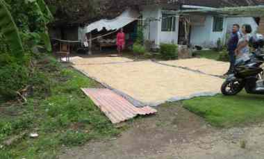 dijual tanah bambanglipuro bantul