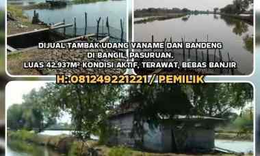 dijual tanah bangil pasuruan