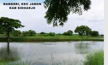 dijual tanah bangsri