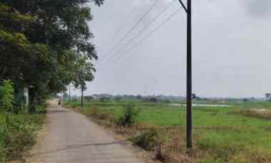 dijual tanah bangunan di lamongan