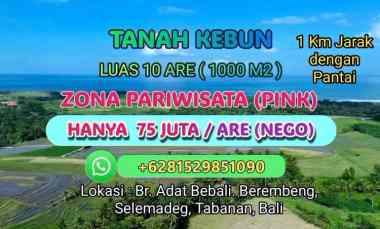 dijual tanah banjar bebali desa berembeng