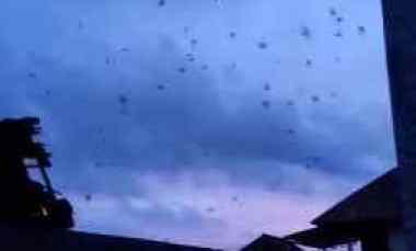 dijual tanah banyuwangi