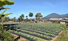 Tanah Kebun View Lembah dan Gunung di Baturiti dekat Bedugul Bali
