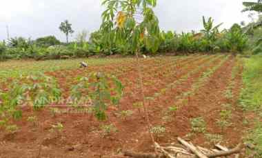 Tanah Dijual di Bedahan