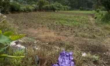 dijual tanah bedugul