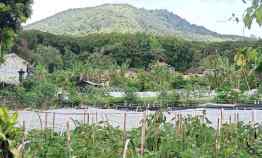 Tanah View Gunung dekat Danau dan Kebun Raya Bedugul Bali