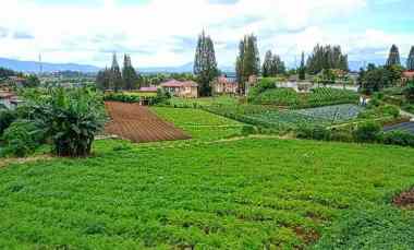 dijual tanah berastagi peceren