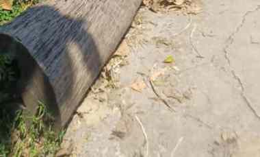 dijual tanah beringin