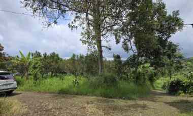 dijual tanah binangun