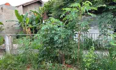 dijual tanah bintaro sektor 2