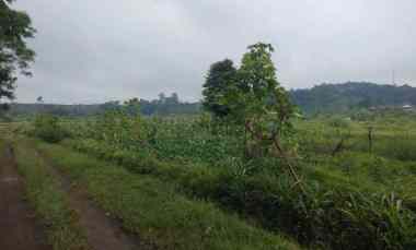 dijual tanah bojong cilimus kuningan