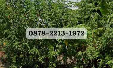 dijual tanah bojongsoang bandung