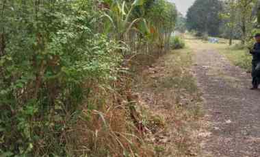 dijual tanah bomang