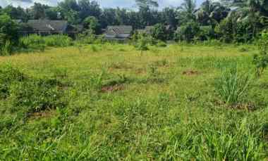 Dijual Cepat Tanah Kavling di Borobudur Harga Nego Sampai Jadi