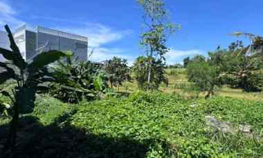dijual tanah buduk