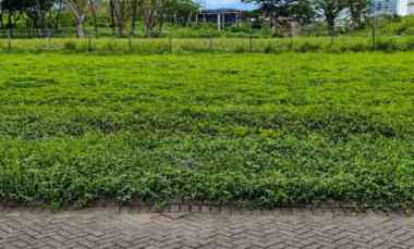dijual tanah bukit golf international