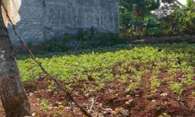 dijual tanah bulusan