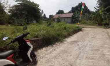Tanah Pekarangan Luas di Candi Gebang Wedomartani Akses Jalan Mobil Ma