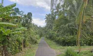 dijual tanah candikusuma jembrana bali