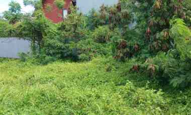 dijual tanah canggu badung bali