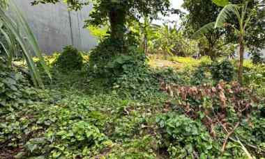 dijual tanah cargo