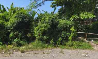 dijual tanah cargo citra land
