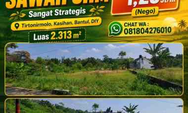 Dijual Cepat Tanah Sawah Strategis di Kasihan Bantul Yogyakarta