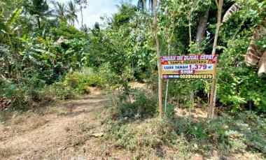 dijual tanah cepat tanpa perantara