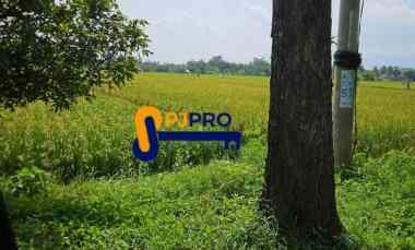 dijual tanah cianjur