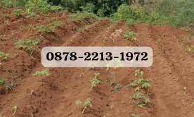 dijual tanah cibiru bandung