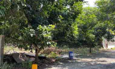 dijual tanah cibubur