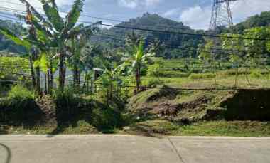 dijual tanah cicangkang girang