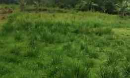 Tanah Luas Cocok untuk Gudang Perumahan Kebun Cihaur Jonggol