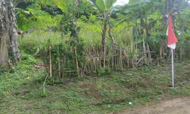 dijual tanah cileles