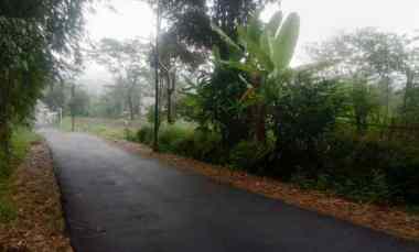 dijual tanah cilimus