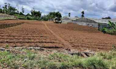 Tanah Dijual di Cilimus Hilir Padaasih, Kec. Cisarua,