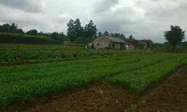 dijual tanah cimanggu 2 cibungbulan