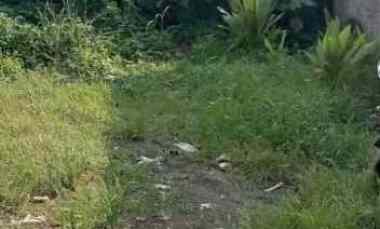 dijual tanah cinangka depok